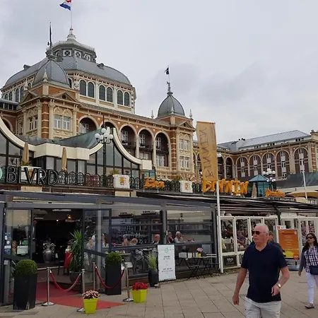 Smallstay On The * The Hague